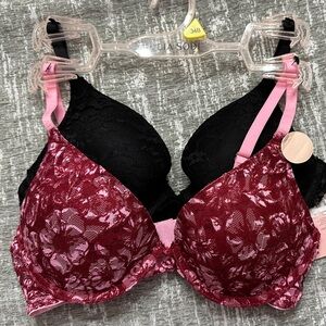 Thalia Sodi Lace Slight Push-Up Bras 2-Pack New 34 B